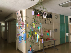 Tanabata2024